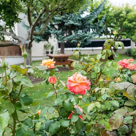 Chez Camille Couette-café